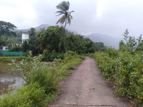 ନା଼ଜୁତା ହାଗି ଜିଜୁ