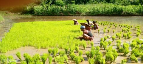 ତଳି ଉପୁଡ଼ି ଗୀଣ୍ଡୁ