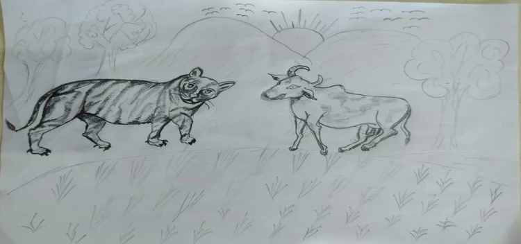 ବଉଳା ଗାଈ